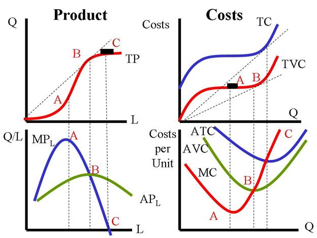 Product and Cost Curves